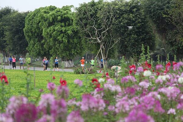 Giải chạy bộ Ecopark Marathon 2019 - Chạy giữa miền xanh