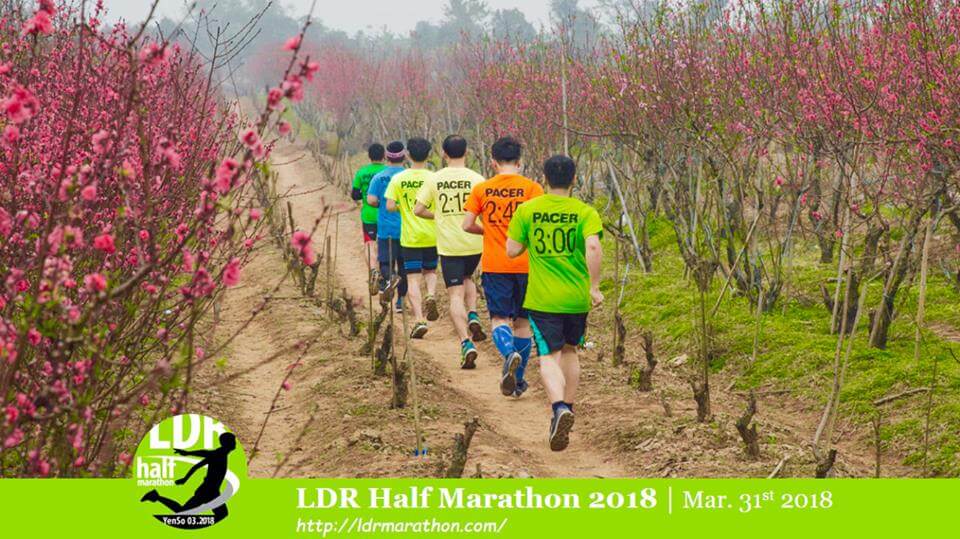 LDR Half Marathon – chạy bộ đường dài