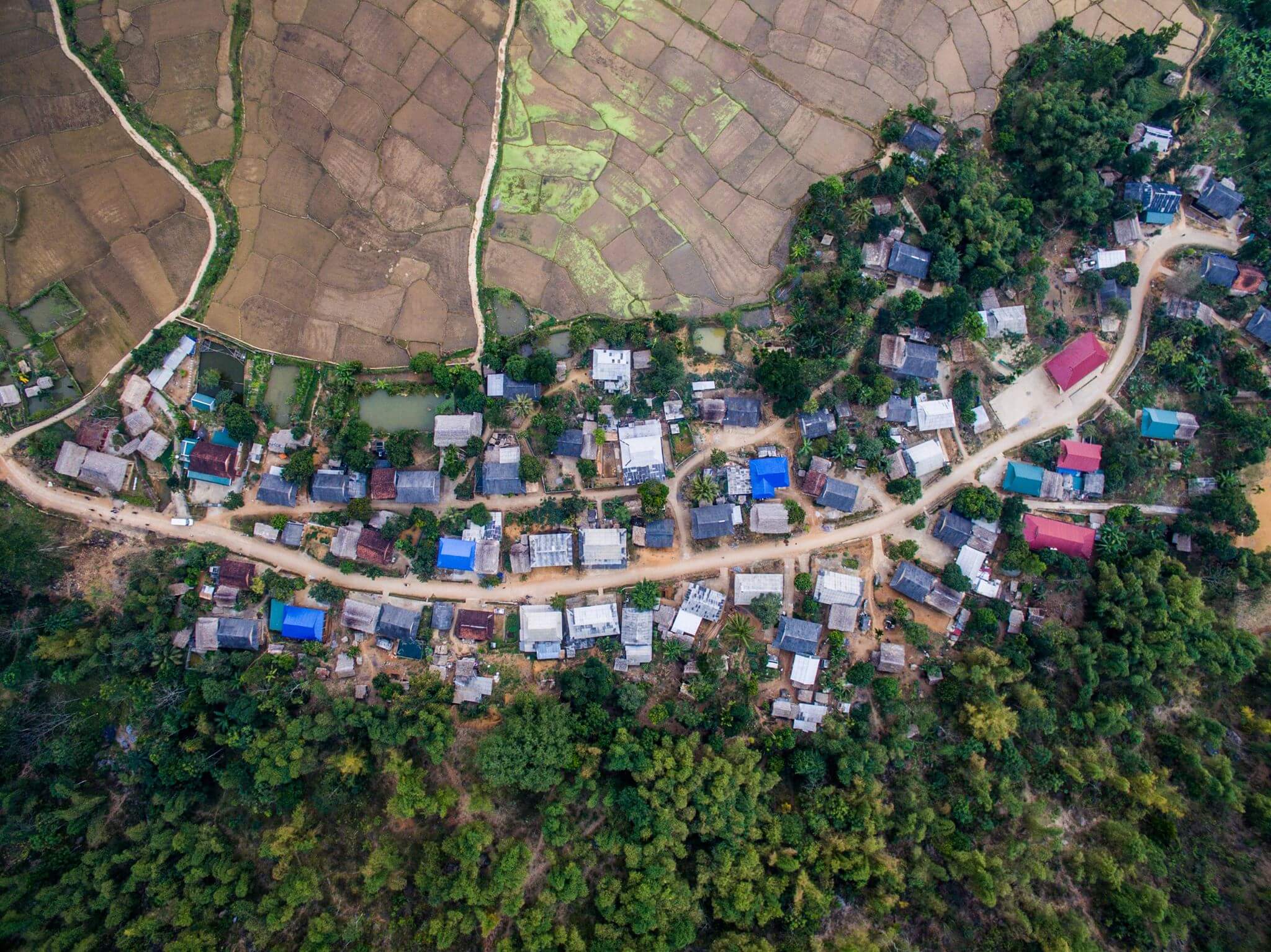 Cuộc rượt đuổi rừng xanh - Vietnam Jungle Marathon 2019