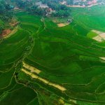 Cuộc rượt đuổi rừng xanh – Vietnam Jungle Marathon 2019