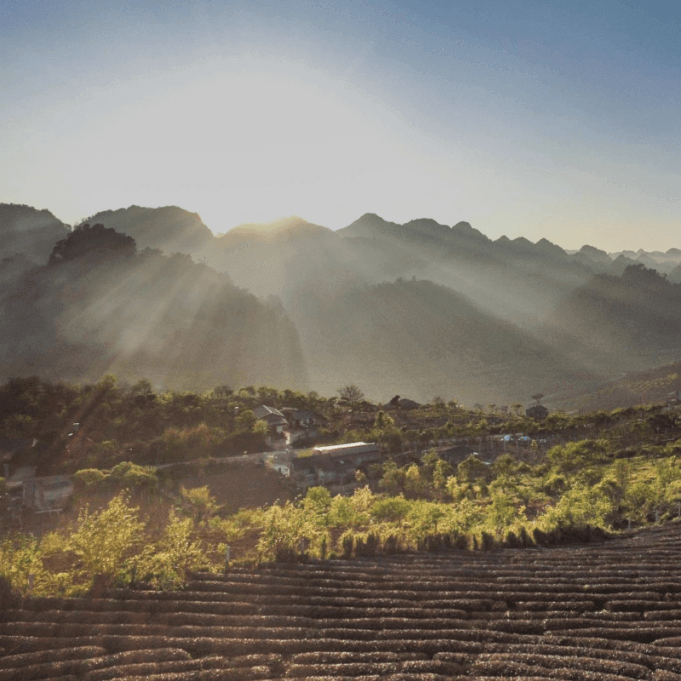 Cùng giải Vietnam Trail Marathon 2019 phá vỡ mọi giới hạn