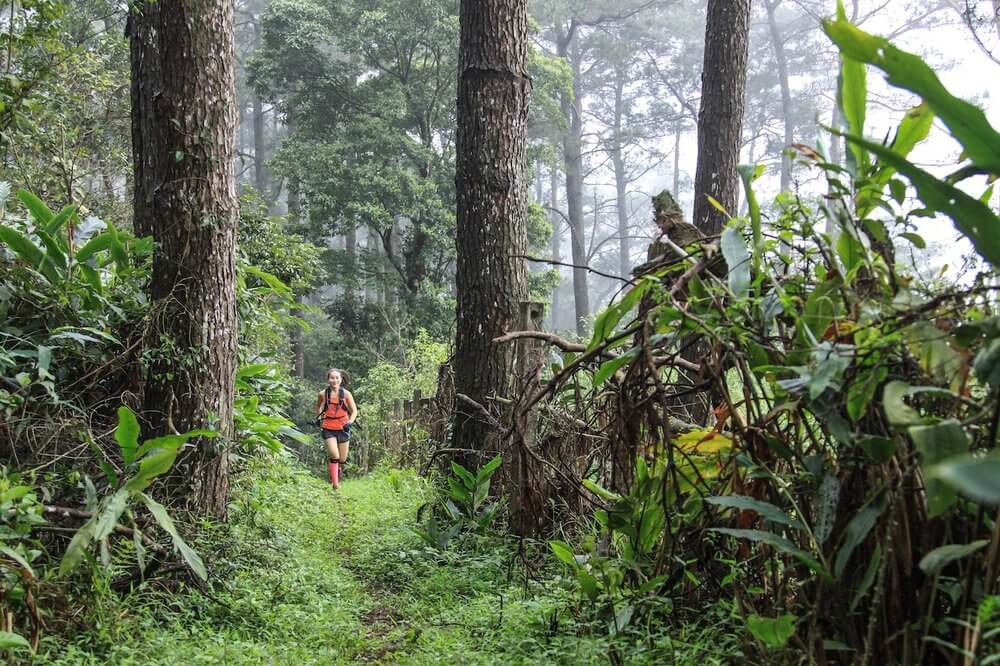 Bạn đã sẵn sàng thử thách với giải Tam Đảo Mountain Trail 2019